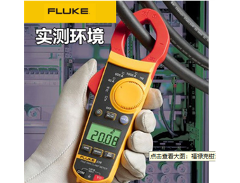 Fluke 305 钳形表